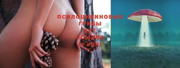 бутират Арсеньев