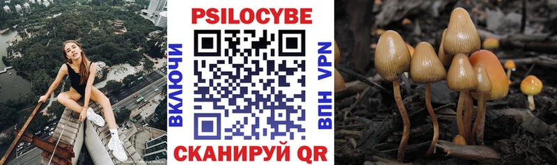 Галлюциногенные грибы MAGIC MUSHROOMS  как найти закладки  Славгород 